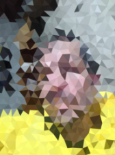 Imagen para el proveedor Martín Xote